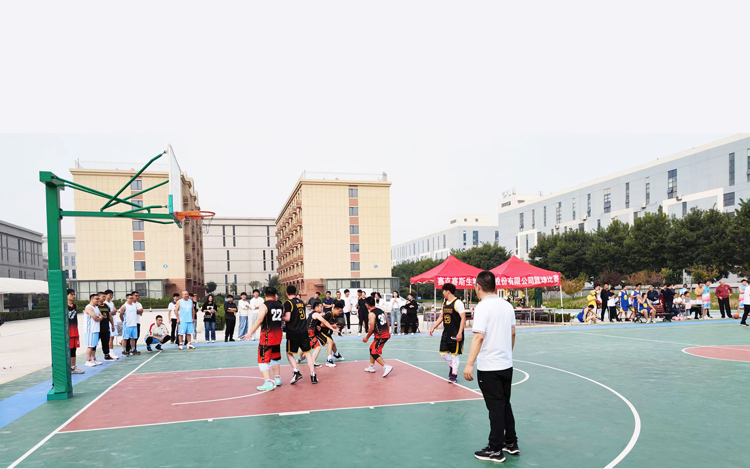 2023年赛克赛斯篮球赛